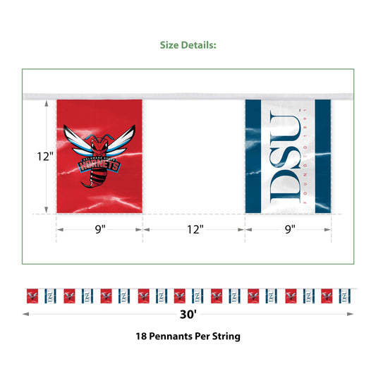 Delaware State University Pennant String 9 x 12 inch