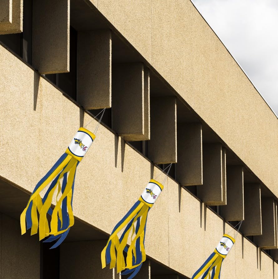 AGAS Drexel DU Dragons Windsock, Polyester, Team-Coloured Stripes, Drexel DU University Merch