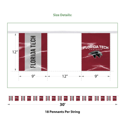 Florida Institute of Technology Pennant String 9 x 12 inch