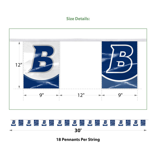 Brandeis University Pennant string 9 x 12 inch