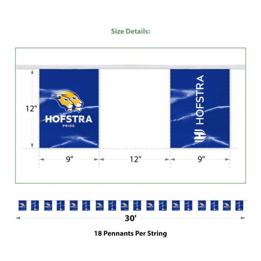 Hofstra University Rectangle Pennant String 9 x 12 inch