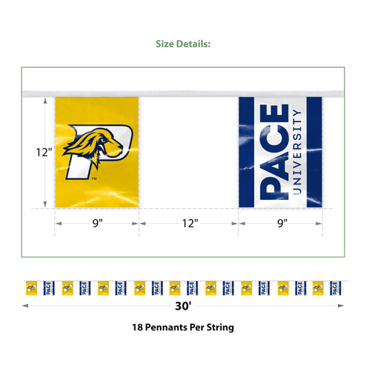 Pace University Pennant String 9 x 12 inch