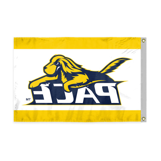 Pace University Flag 12 x 18 inch