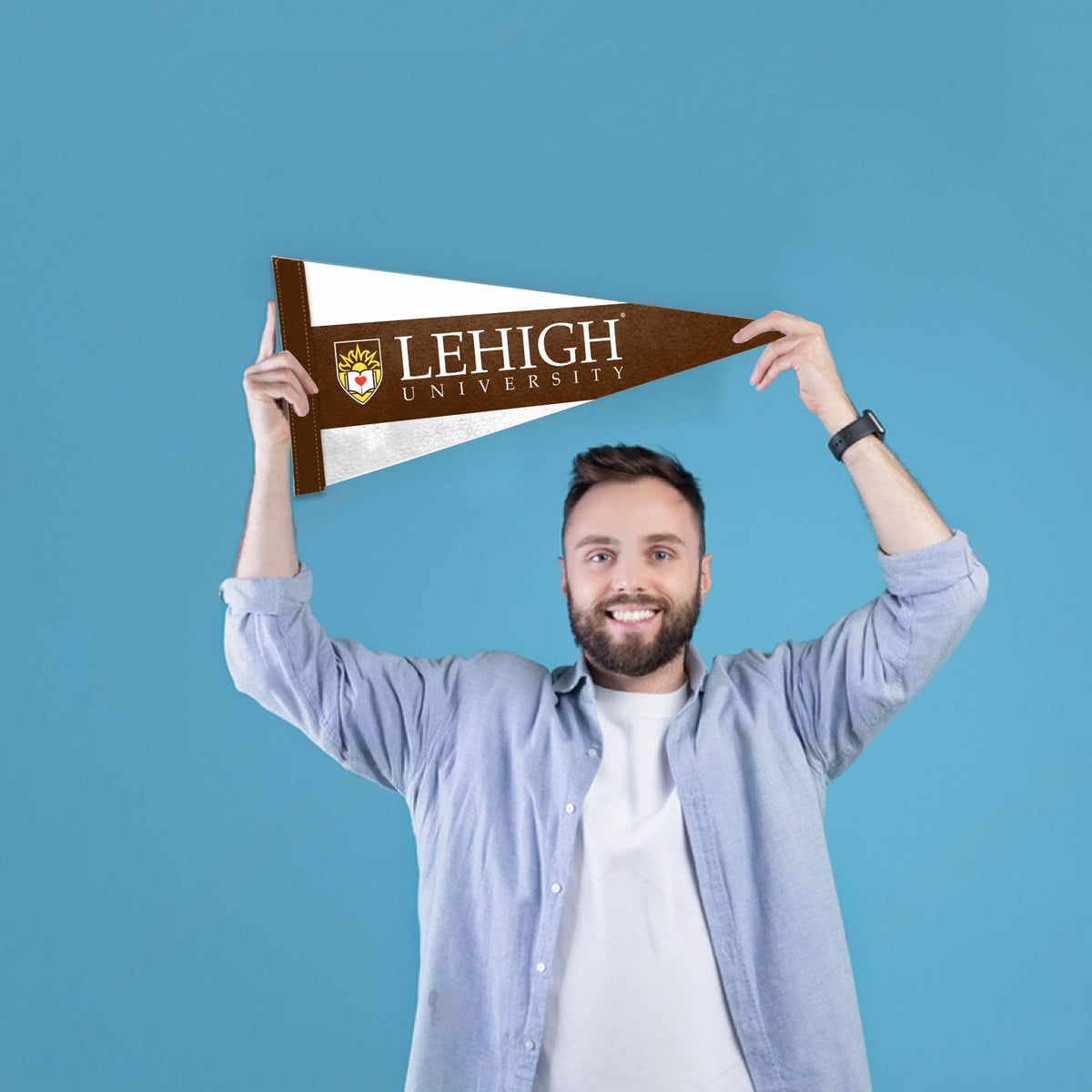 AGAS Lehigh College Pennant Flags, Mini Felt Officially Licensed
