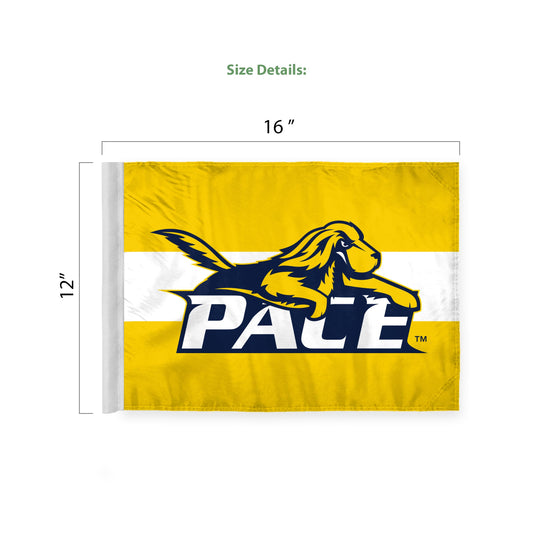 Pace University Economy Car Flag 12 x 16 inch