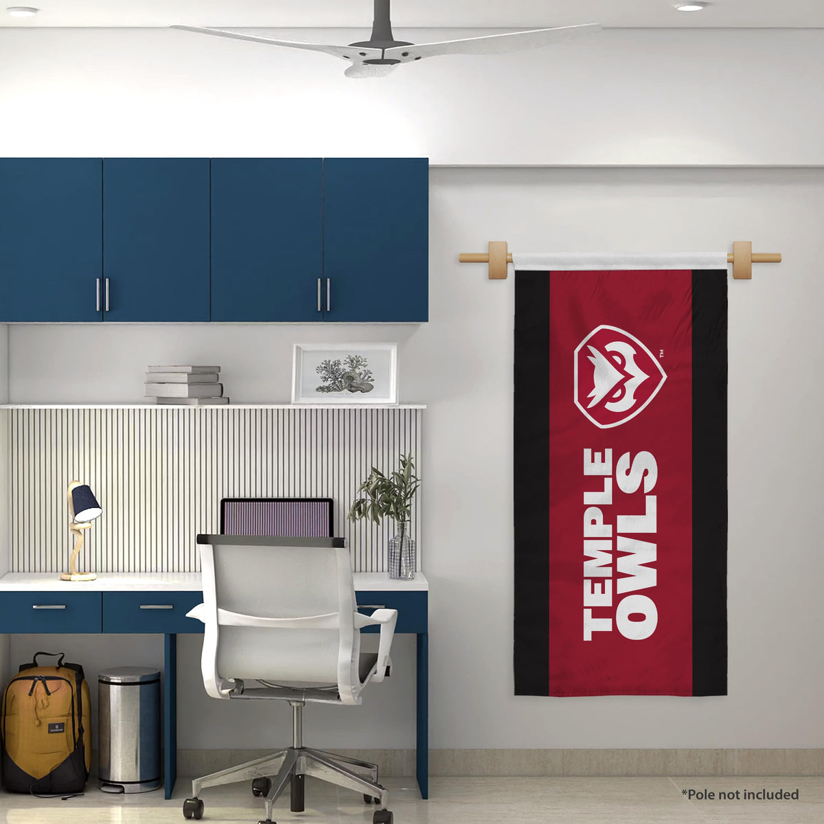 AGAS Temple University - Banners 2 x 4 ft