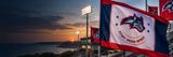 Stony Brook Seawolves Flags & Gear
