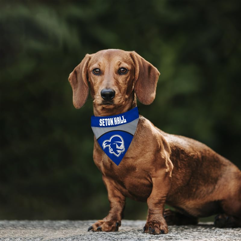 AGAS Seton Hall Pirates Pet Bandana 9.75 x 6.5 inch – Single Sided Printed Polyester Pirate Head Logo Design – Official NCAA SHU Product – Pet Bandana with Collar Sleeve No Collar Included