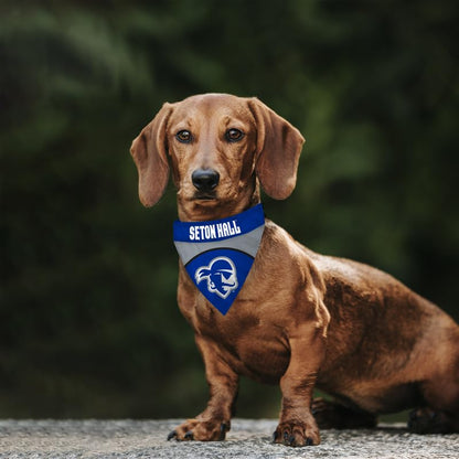 AGAS Seton Hall Pirates Pet Bandana 9.75 x 6.5 inch – Single Sided Printed Polyester Pirate Head Logo Design – Official NCAA SHU Product – Pet Bandana with Collar Sleeve No Collar Included