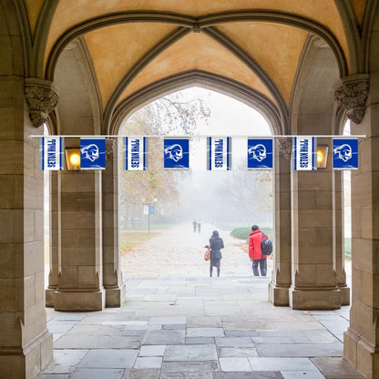 AGAS Seton Hall University Rectangle Pennant Banner String 9 x 12 inch – 30 ft Flags Seton Hall Pirates – Official NCAA SHU Product – Party Decoration with 18 Pennants