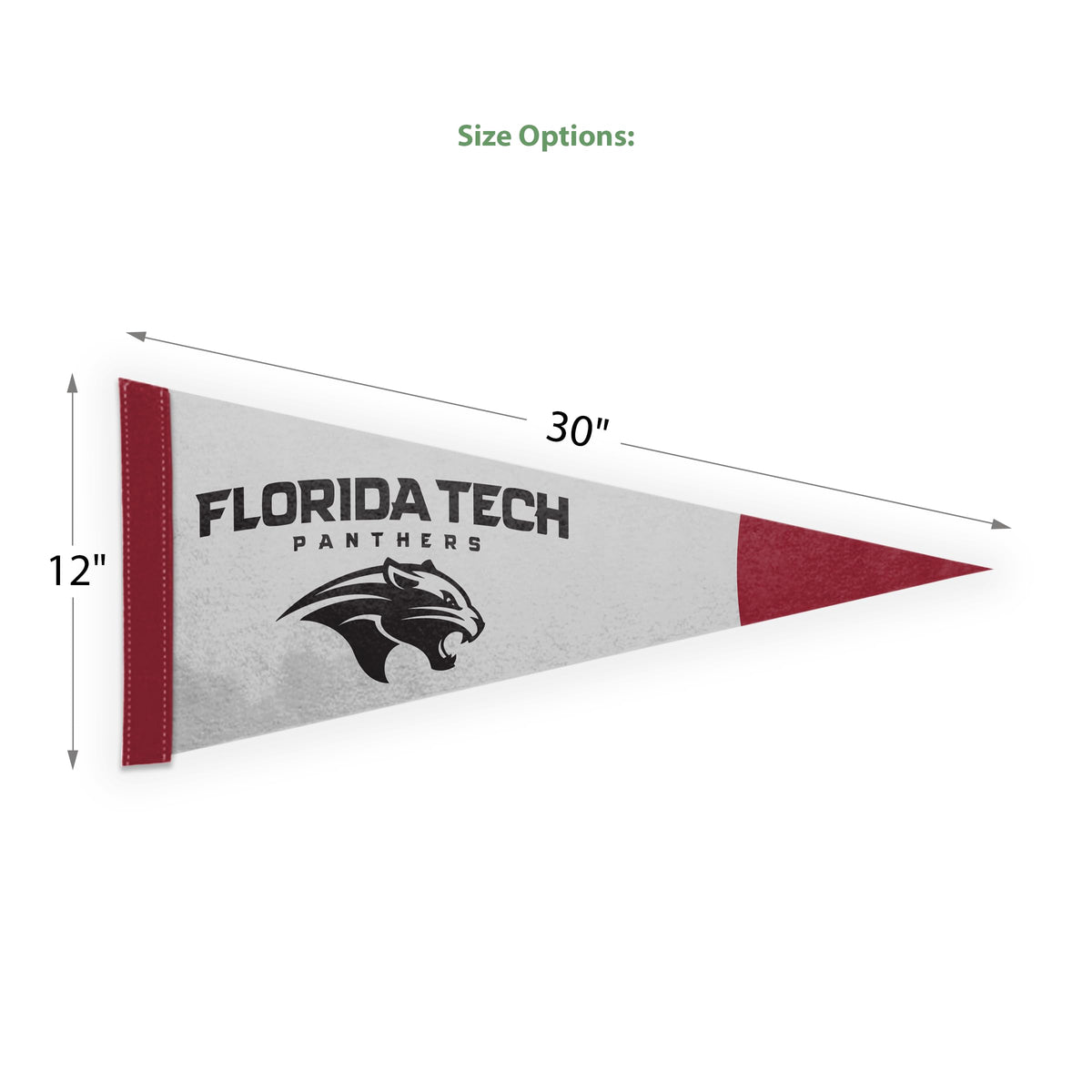 Florida Institute of Technology Felt Pennant 12 x 30 inch