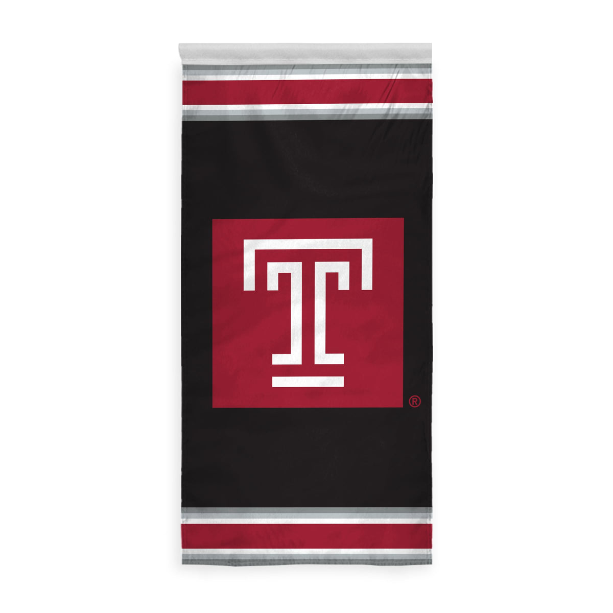 AGAS Temple University - Banners 2 x 4 ft