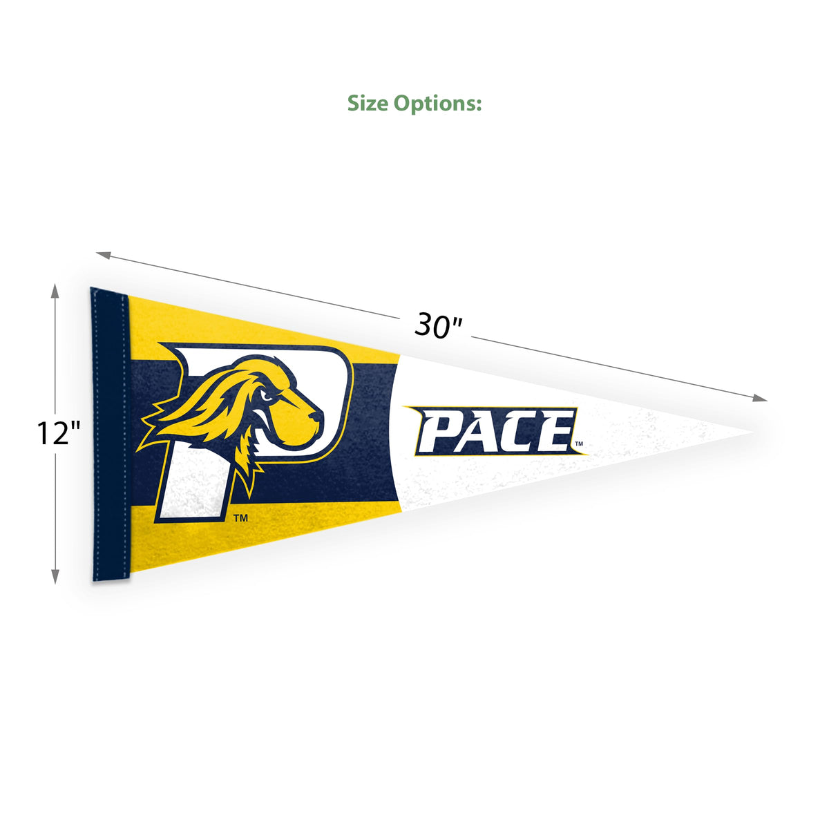 Pace University Felt Pennant 12 x 30 inch
