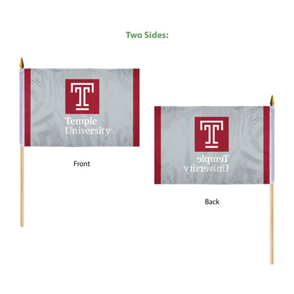 AGAS Temple University - 12x18in Stick Flags