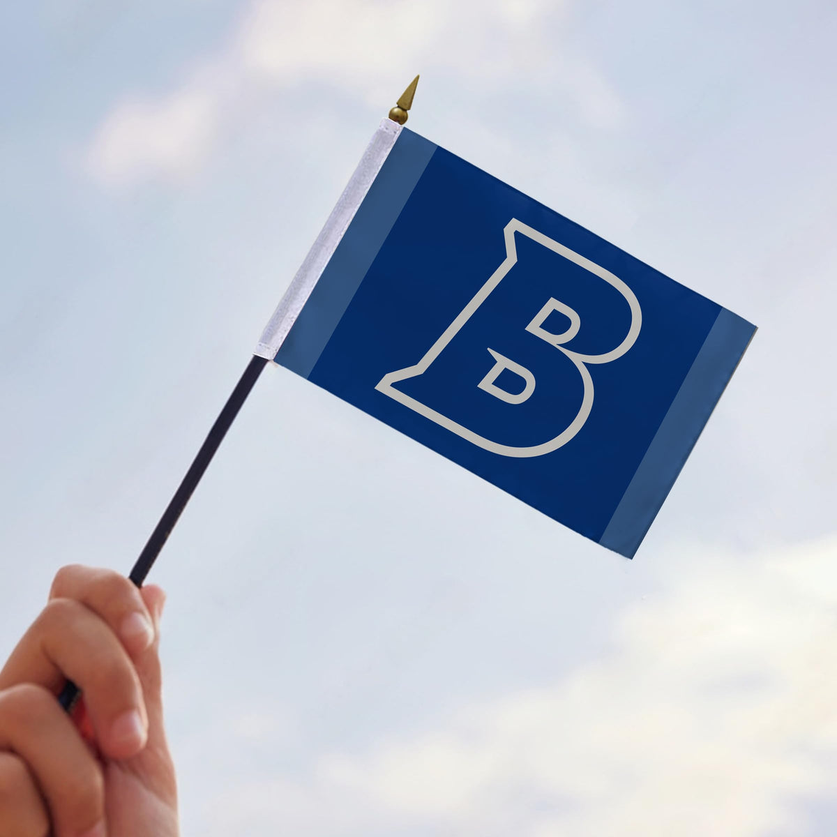 Brandeis University Stick Flag 4 x 6 inch