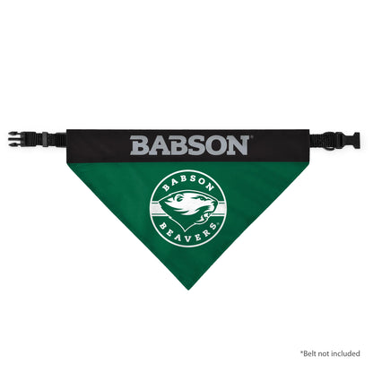Babson College Pet Bandana 14.75 x 9.5 inch