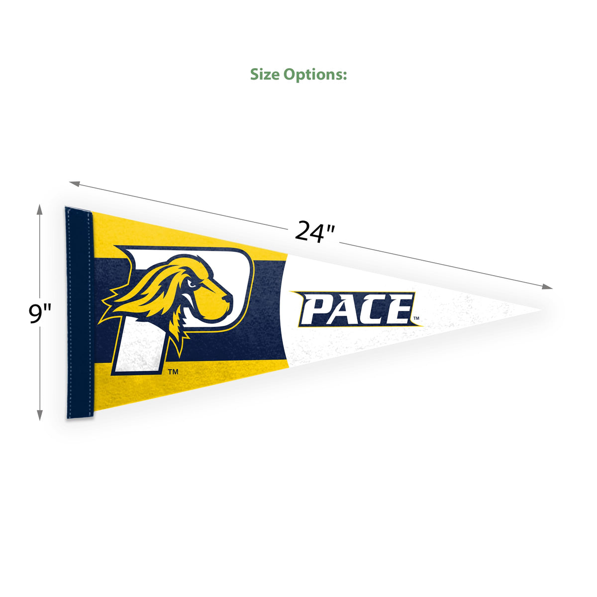 Pace University Felt Pennant 9 x 24 inch