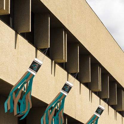 AGAS - Coastal Carolina University Flags