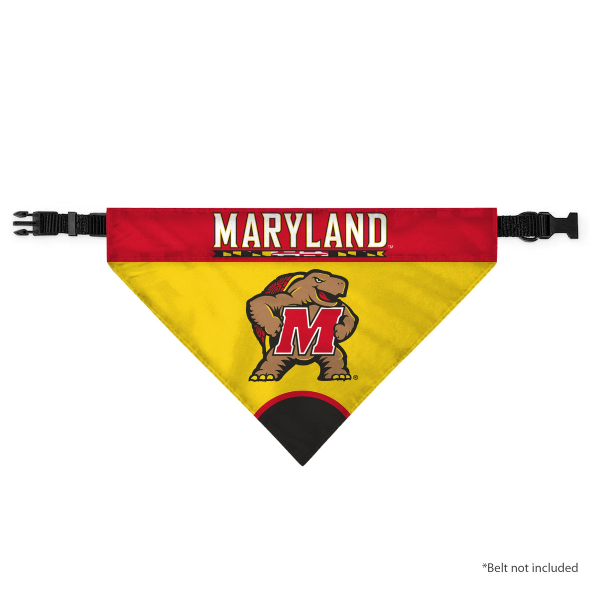 AGAS - Maryland University