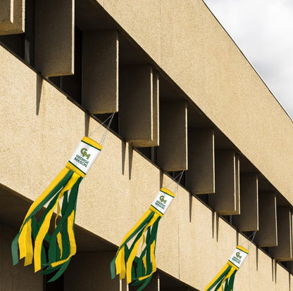 AGAS 30" George Mason GMU Patriots Windsocks, George Mason Official Licensed University Merch
