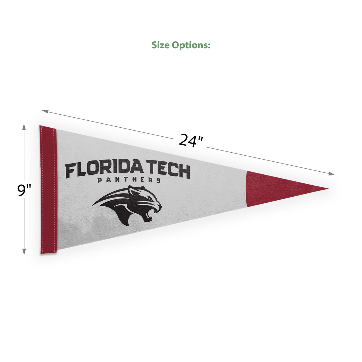 Florida Institute of Technology Felt Pennant 9 x 24 inch