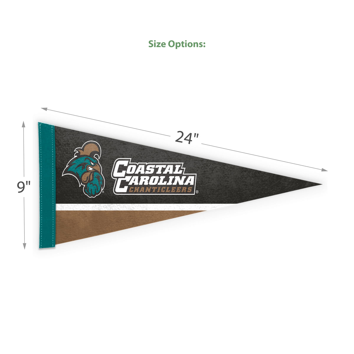 AGAS Coastal Carolina CCU University Mini Pennant - 9" x 24" Sleeve For Stick - Officially Licensed Small Chanticleers Home Décor Wall Pennant