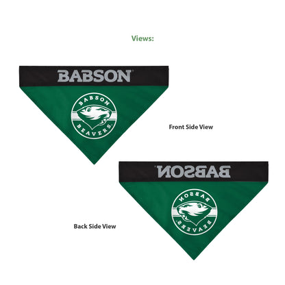 Babson College Pet Bandana 14.75 x 9.5 inch