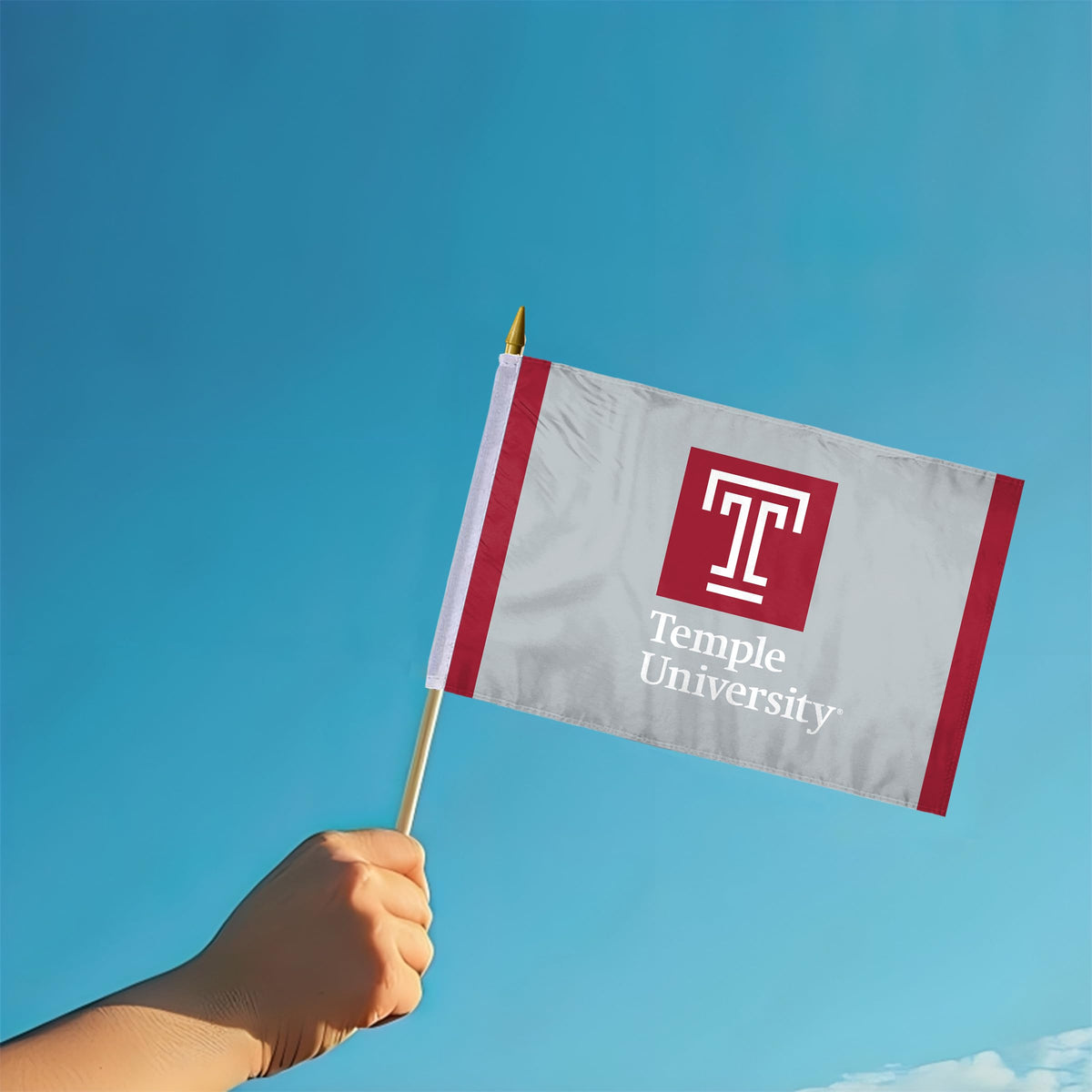 AGAS Temple University - 12x18in Stick Flags