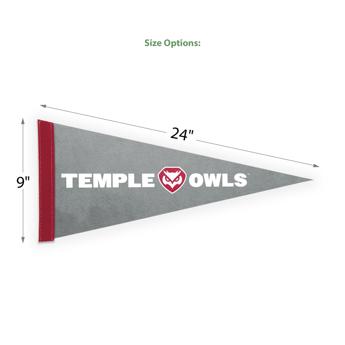 AGAS Temple University - Felt Pennants 9 x 24 inches