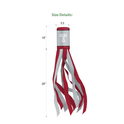 AGAS Temple University - Windsocks