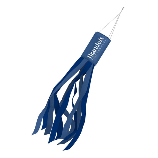 Brandeis University Windsock 30 x 5.5 inch