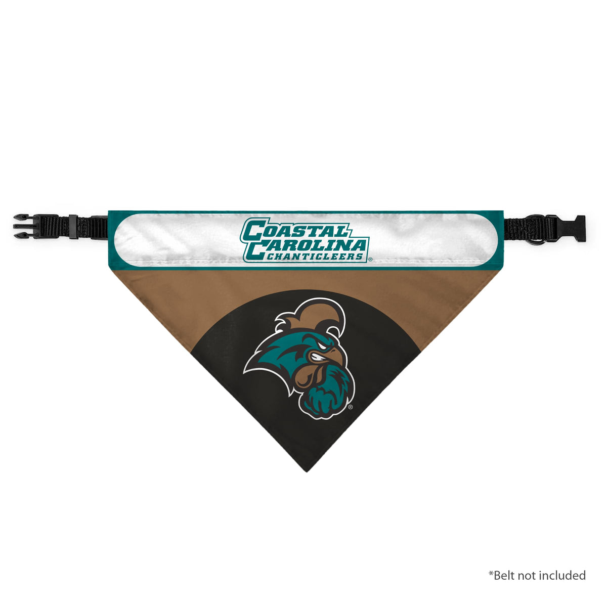 AGAS - Coastal Carolina University