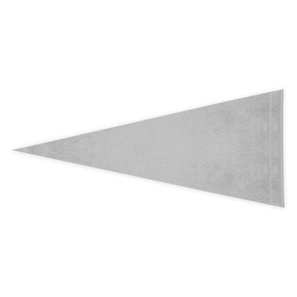 Hofstra University Felt Pennant 12 x 30 inch
