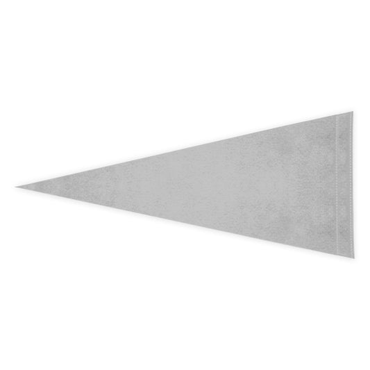 Pace University Felt Pennant 9 x 24 inch