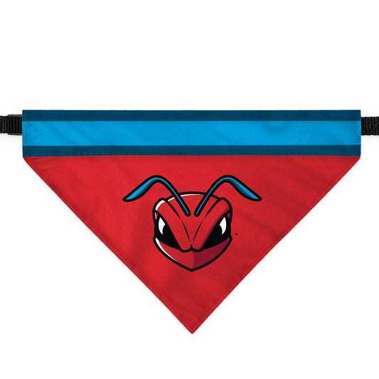Delaware State University Pet Bandana 9.75 x 6.5 inch