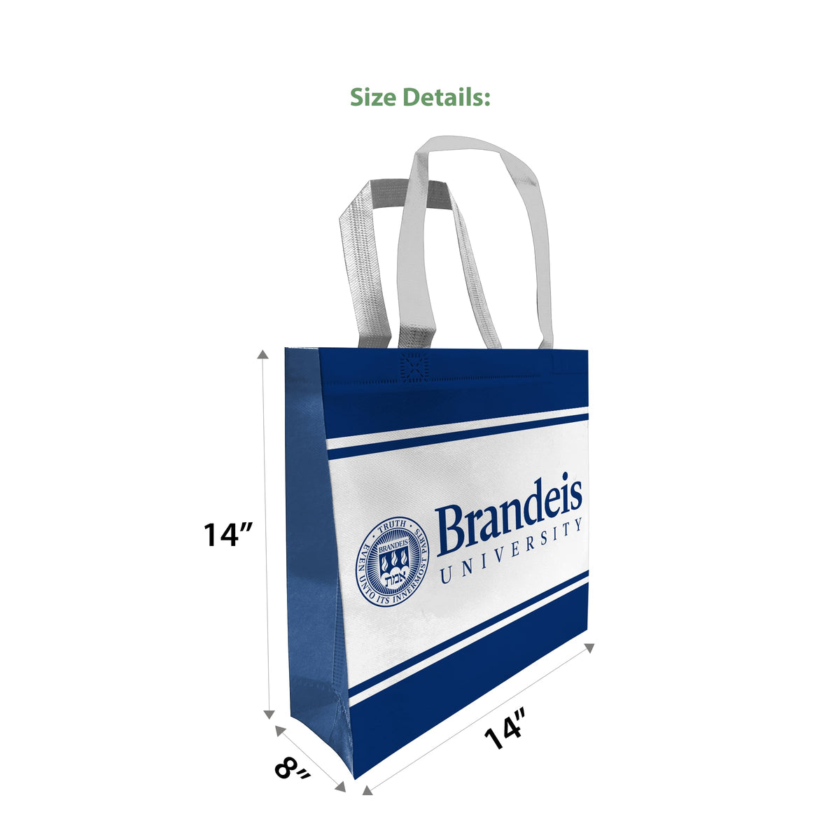 Brandeis University Tote Bag 14 x 14 x 8 inch