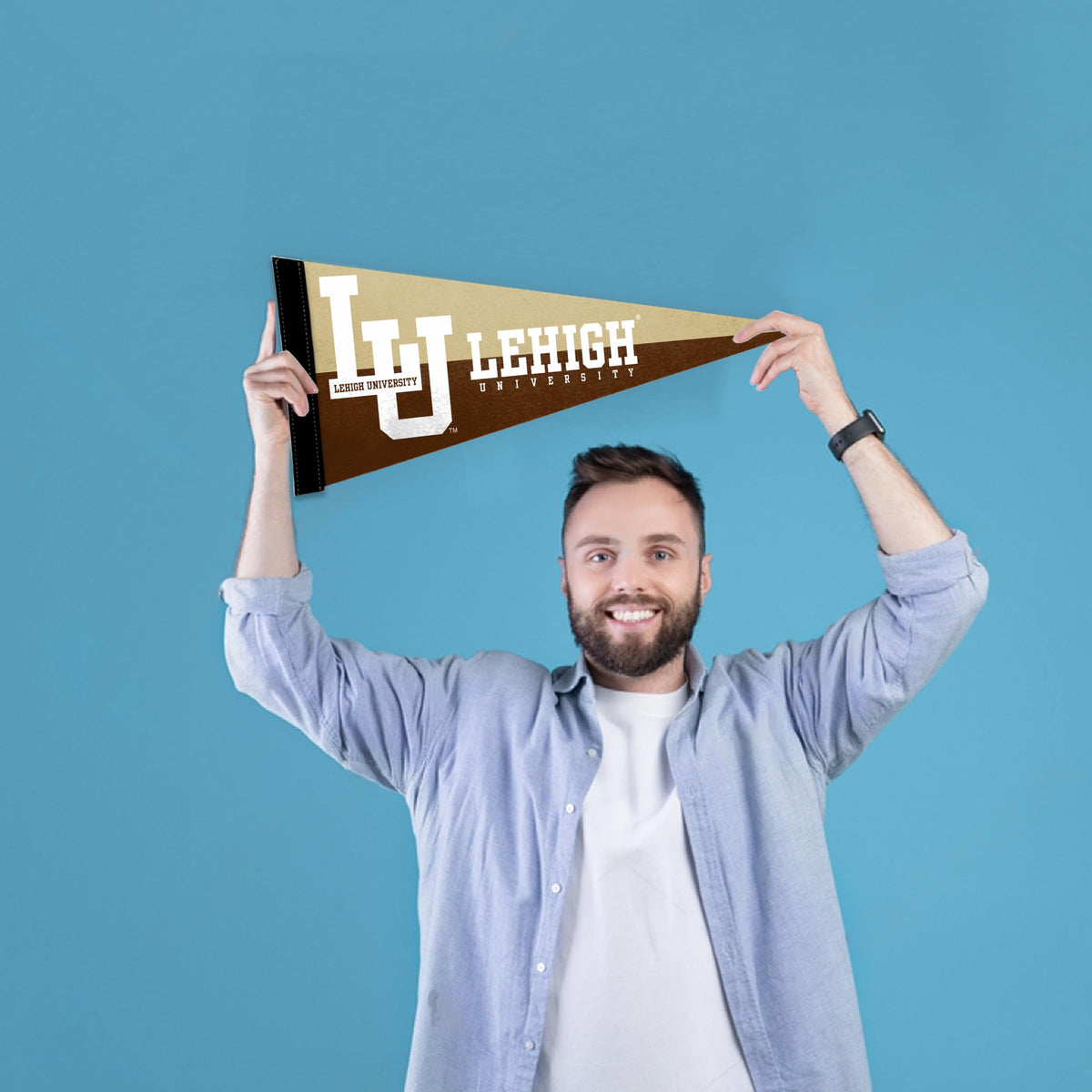 AGAS Lehigh Hawks Pennant Mini, 9 x 24 Inches Sleeve for Stick, Officially Licensed Merchandise