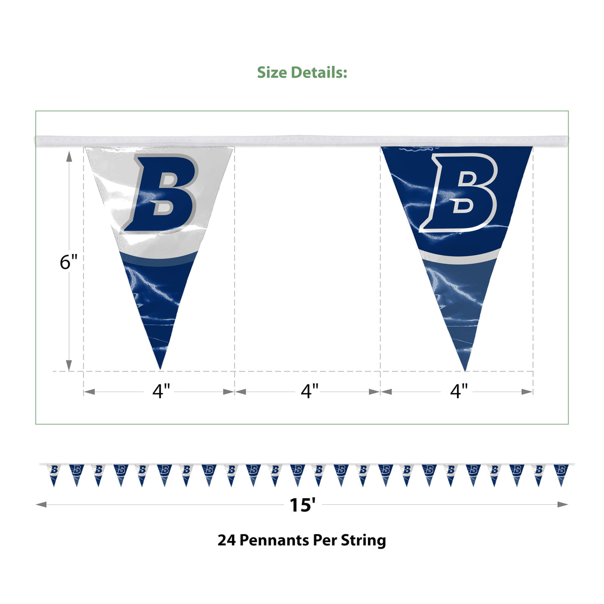 Brandeis University Pennant string 4 x 6 inch