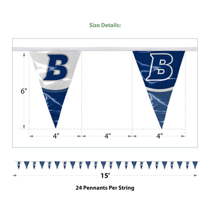 Brandeis University Pennant string 4 x 6 inch