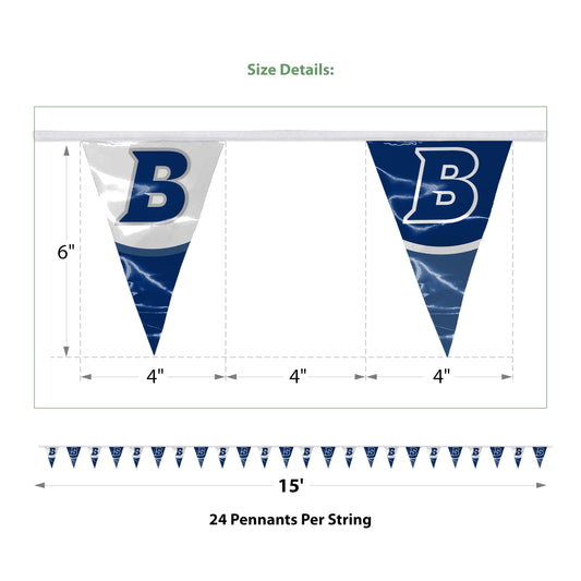 Brandeis University Pennant string 4 x 6 inch