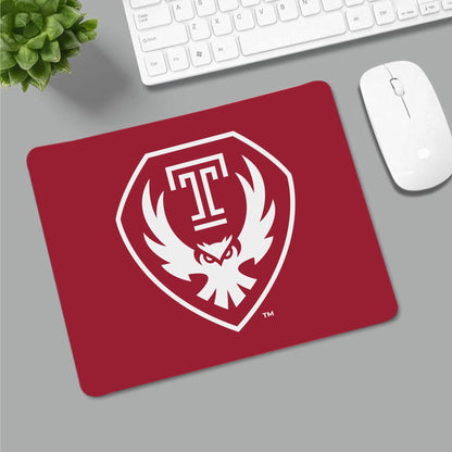 AGAS Temple University - Misc Flags