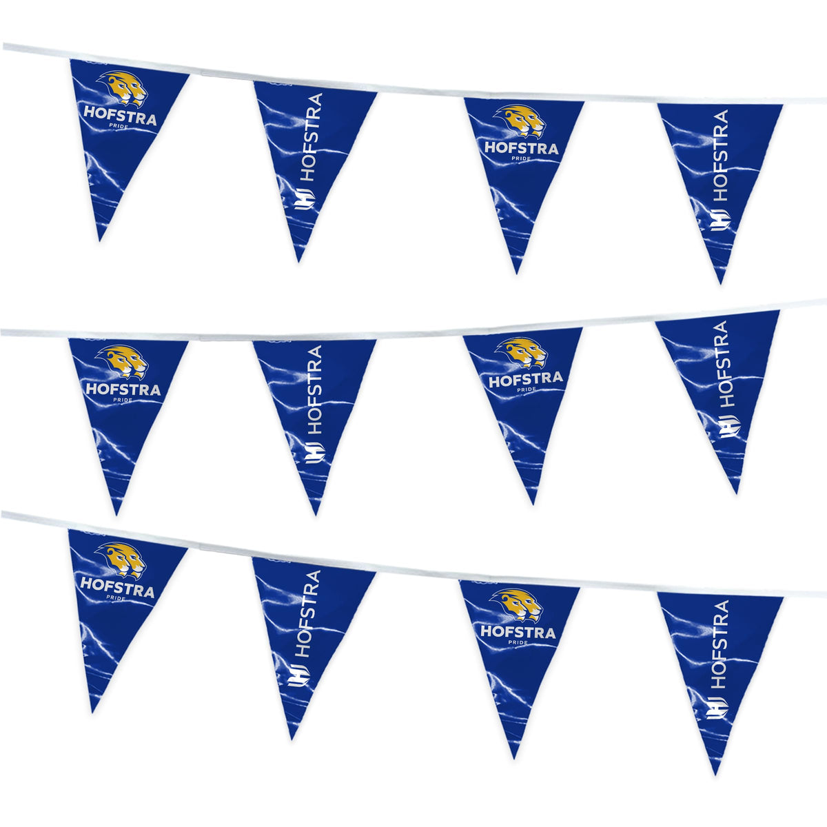 Hofstra University Pennant Banner String 4 x 6 inch
