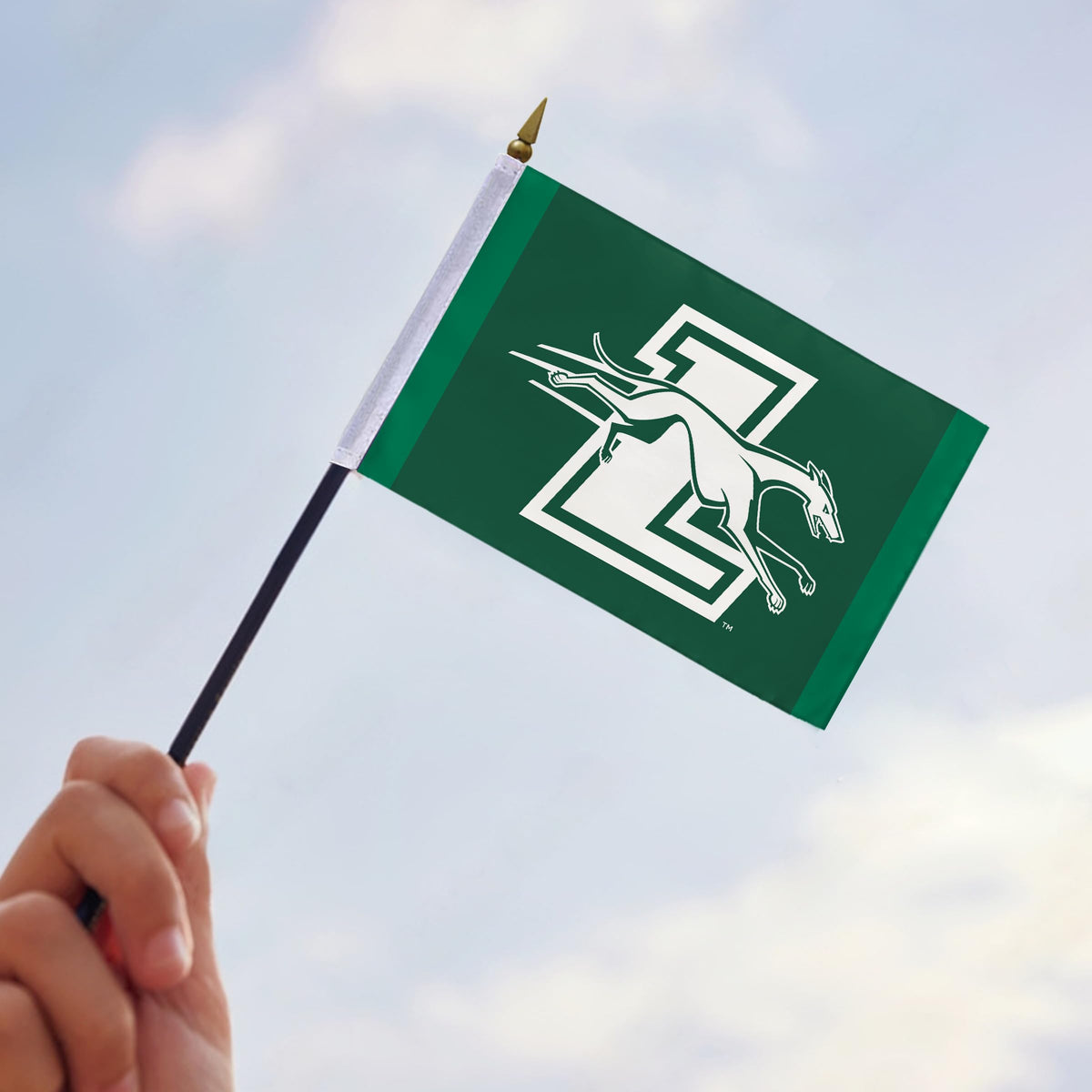 Loyola Maryland University Stick Flag 4 x 6 inch