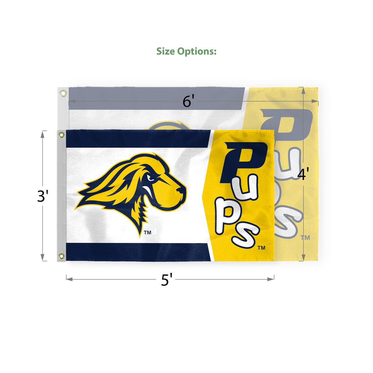 Pace University Flag 4 x 6 ft