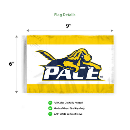 Pace University Motorcycle Flag 6 x 9 inch