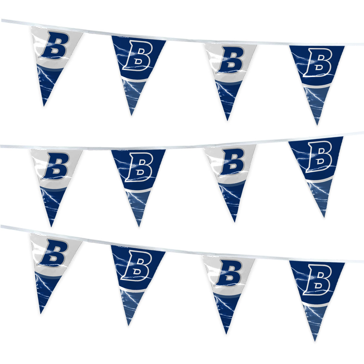 Brandeis University Pennant string 4 x 6 inch