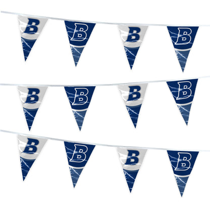 Brandeis University Pennant string 4 x 6 inch
