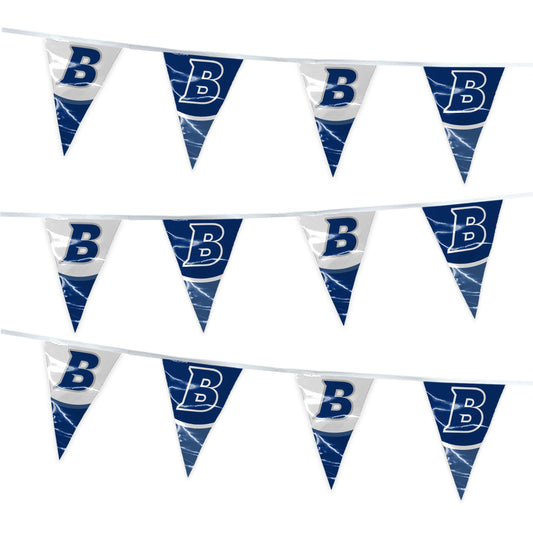 Brandeis University Pennant string 4 x 6 inch