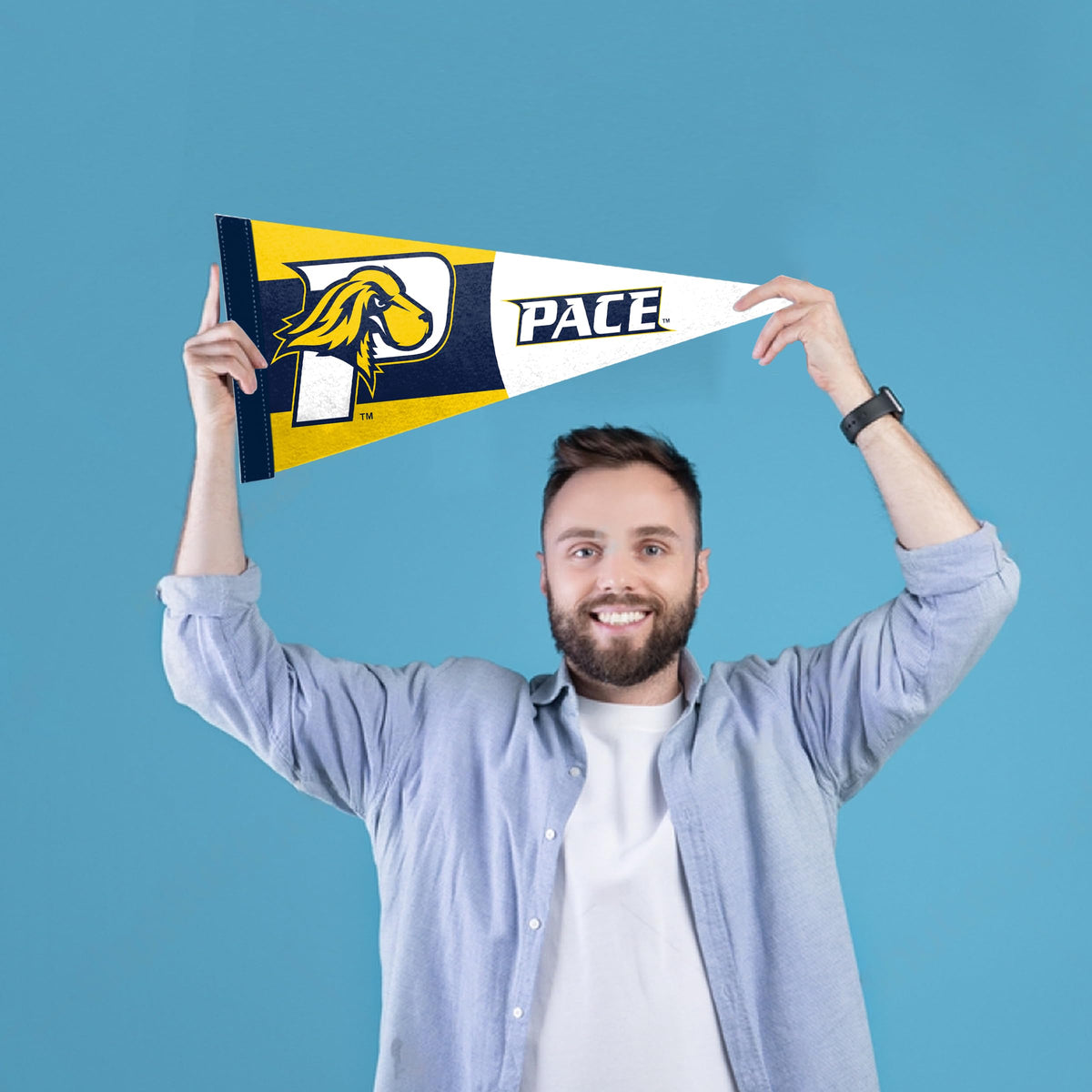 Pace University Felt Pennant 9 x 24 inch