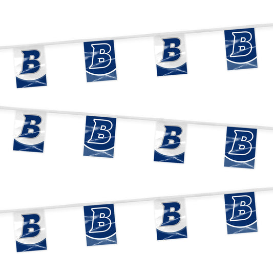 Brandeis University Pennant string 9 x 12 inch
